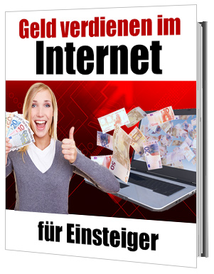 Geldverdienen im Internet für Einsteiger